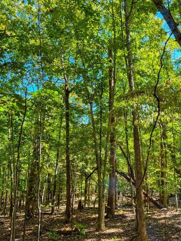 TBD Red Fox Rd, Hardy, AR 72542