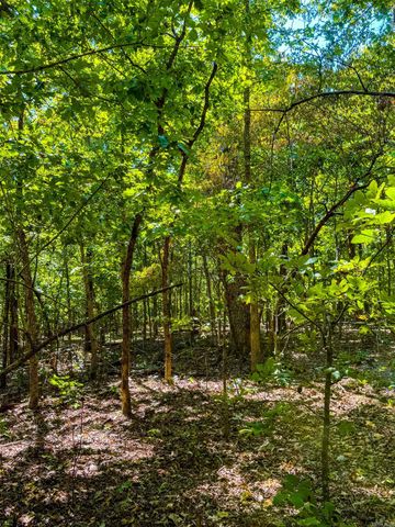 TBD Red Fox Rd, Hardy, AR 72542