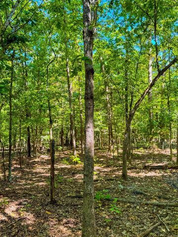 TBD Red Fox Rd, Hardy, AR 72542