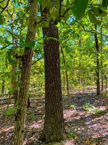 TBD Red Fox Rd, Hardy, AR 72542