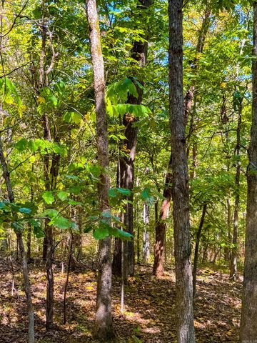 TBD Red Fox Rd, Hardy, AR 72542