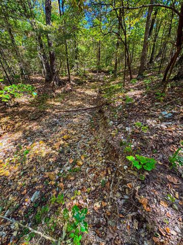 TBD Red Fox Rd, Hardy, AR 72542