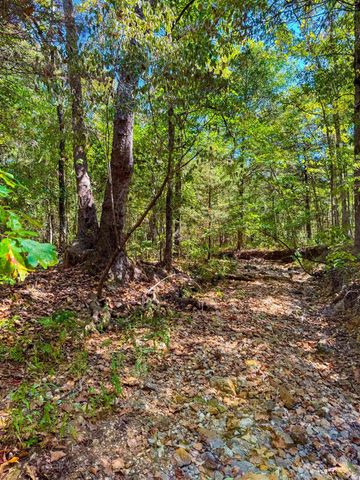 TBD Red Fox Rd, Hardy, AR 72542