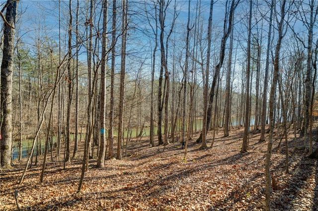 687 Moccasin Gap Road, Jackson, GA 30233