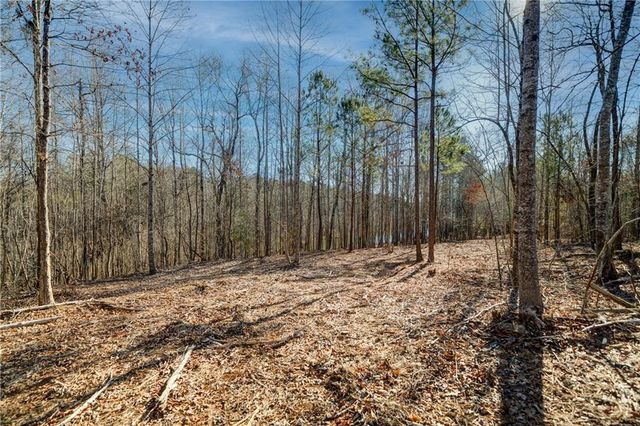 687 Moccasin Gap Road, Jackson, GA 30233