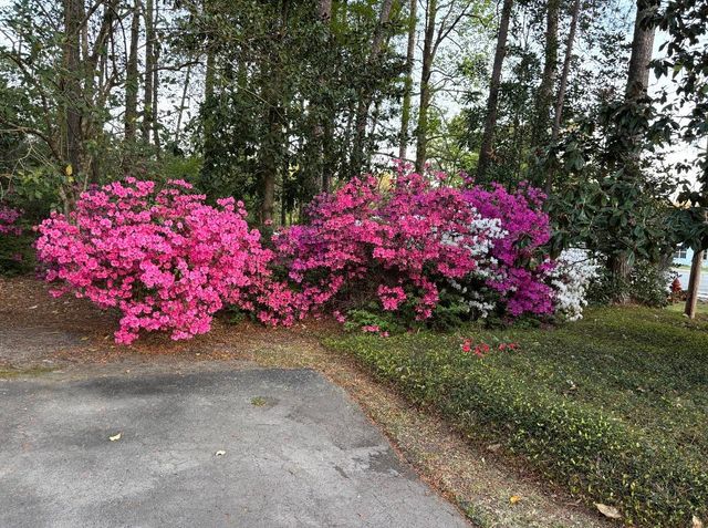2541 Main St., Loris, SC 29569