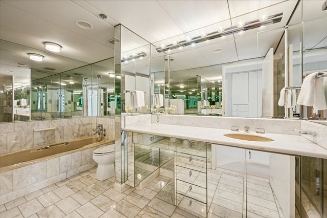 161 E Chicago Avenue 56H, Chicago, IL 60611