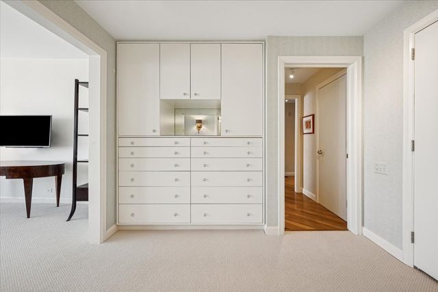 161 E Chicago Avenue 56H, Chicago, IL 60611