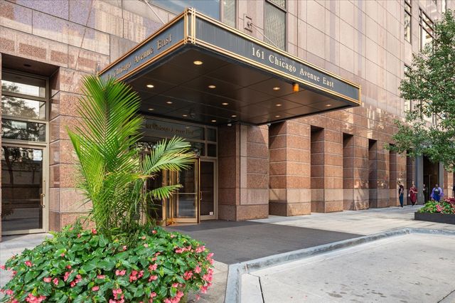 161 E Chicago Avenue 56H, Chicago, IL 60611