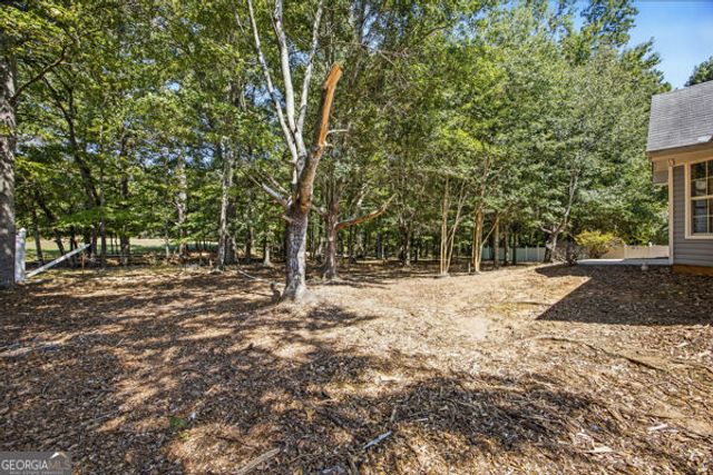 185 Penny Lane, Mcdonough, GA 30253