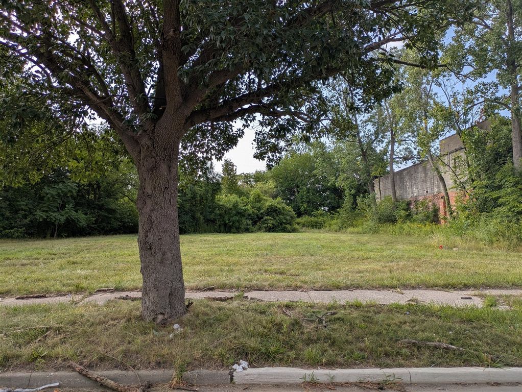 3821 Mcgraw Avenue, Detroit, MI 48208