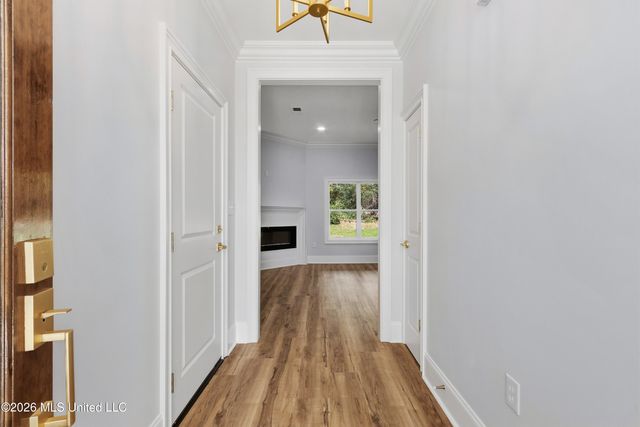 1288 Saint Paul Road, Byhalia, MS 38611