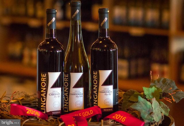 5209 WOODVILLE RD, Mt Airy, MD 21771