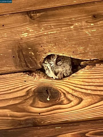 130 Hillcroft Way, Walnut Creek, CA 94597