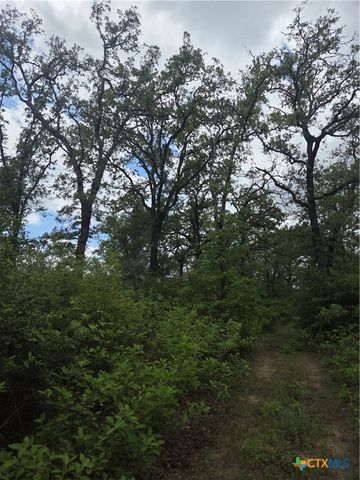 5345 Hwy 36, Milano, TX 76556