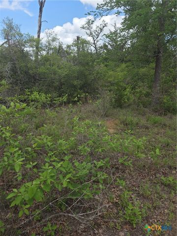 5345 Hwy 36, Milano, TX 76556