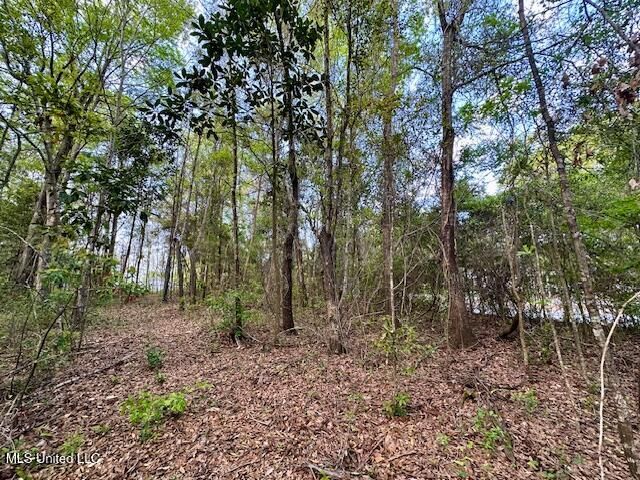 Simon Boulevard, Ocean Springs, MS 39564