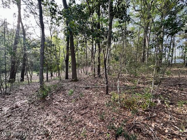 Simon Boulevard, Ocean Springs, MS 39564