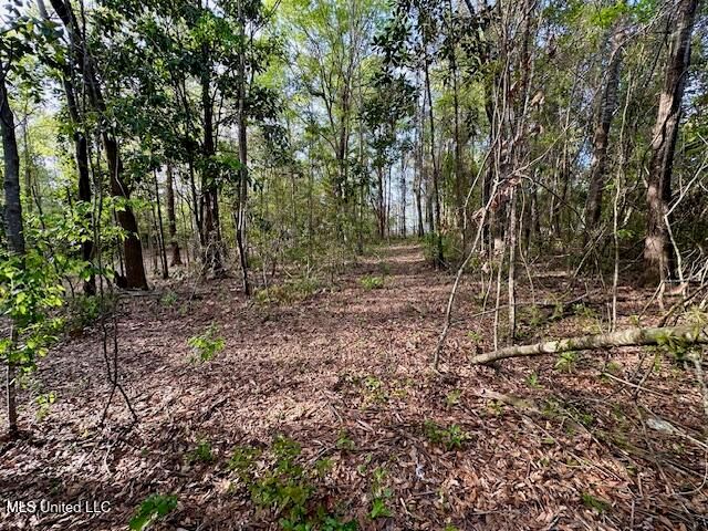 Simon Boulevard, Ocean Springs, MS 39564