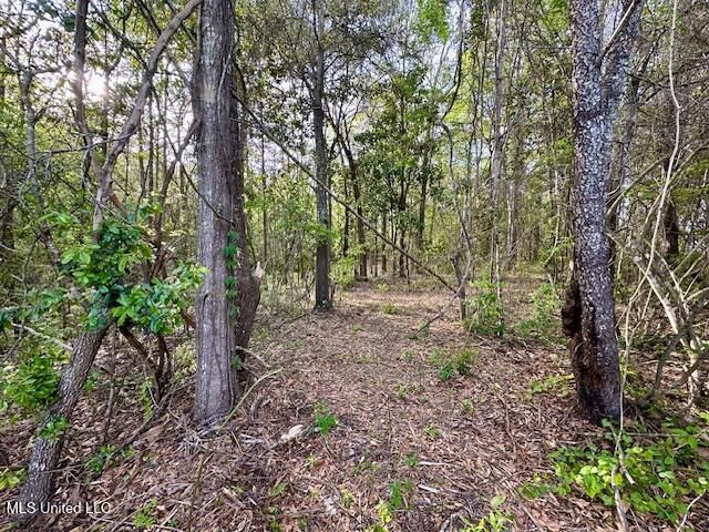 Simon Boulevard, Ocean Springs, MS 39564