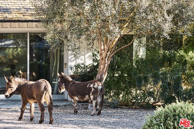 6715 Fernhill Drive, Malibu, CA 90265