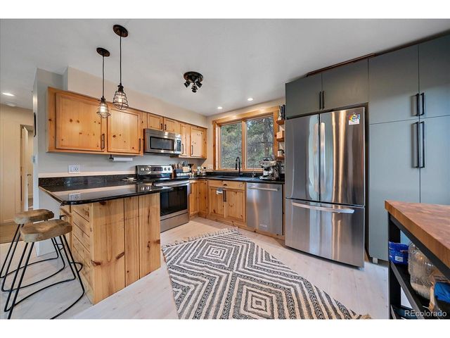 12564 S Lora Ave, Pine, CO 80470