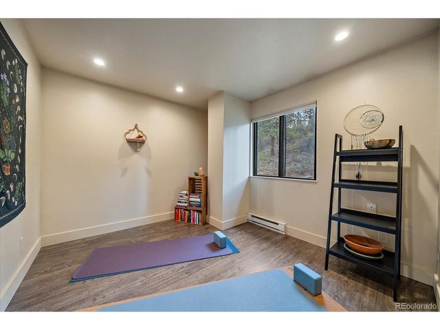 12564 S Lora Ave, Pine, CO 80470