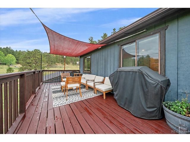 12564 S Lora Ave, Pine, CO 80470