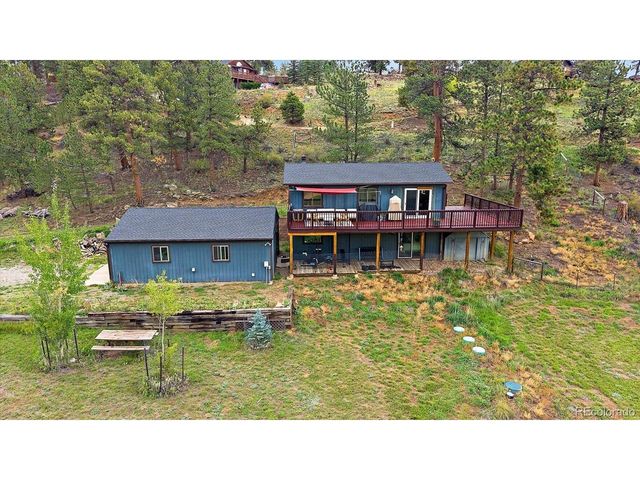 12564 S Lora Ave, Pine, CO 80470