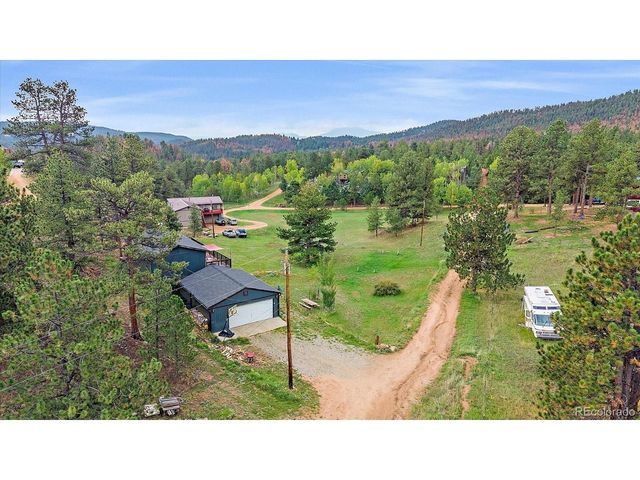 12564 S Lora Ave, Pine, CO 80470