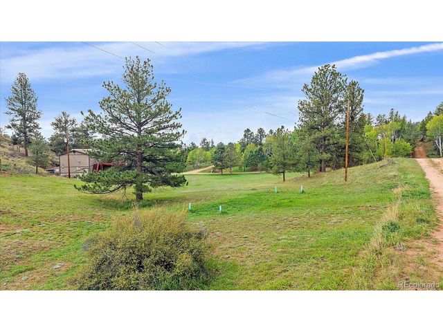 12564 S Lora Ave, Pine, CO 80470