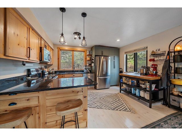 12564 S Lora Ave, Pine, CO 80470