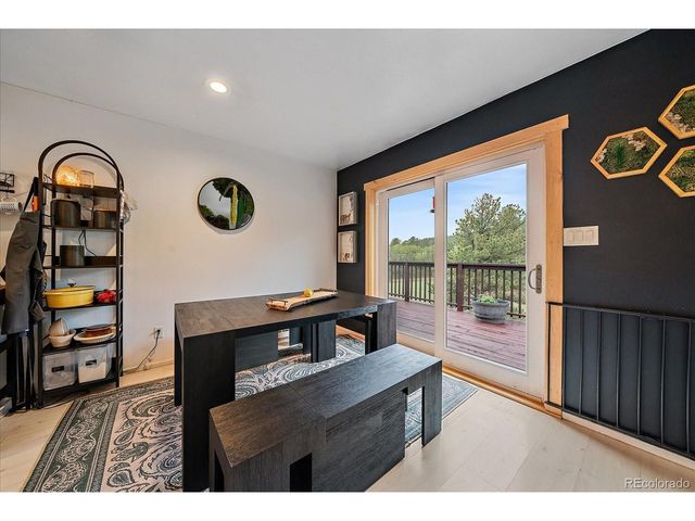 12564 S Lora Ave, Pine, CO 80470
