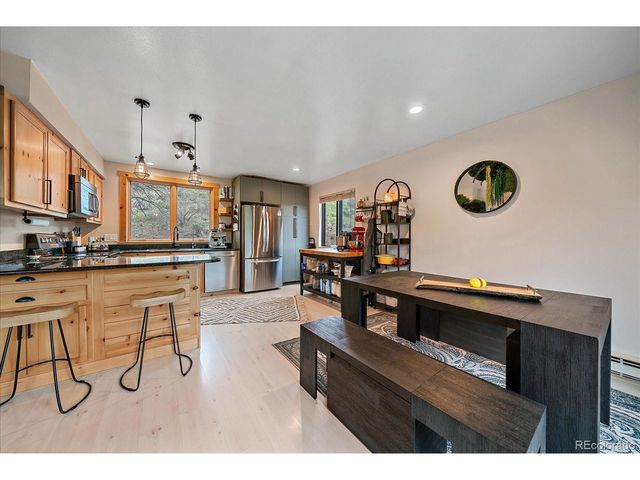 12564 S Lora Ave, Pine, CO 80470