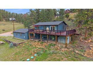 12564 S Lora Ave, Pine, CO 80470
