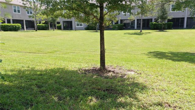 14223 PONDHAWK LANE, Tampa, FL 33625