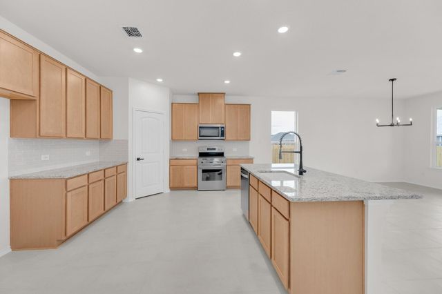 15009 Kiger Mustang DR, Manor, TX 78653