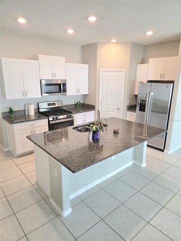 10316 SHADY PRESERVE DRIVE, Riverview, FL 33578
