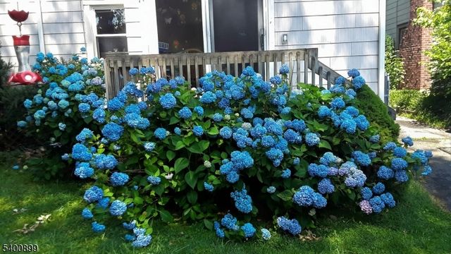 995 Grace Ter, Teaneck Twp., NJ 07666