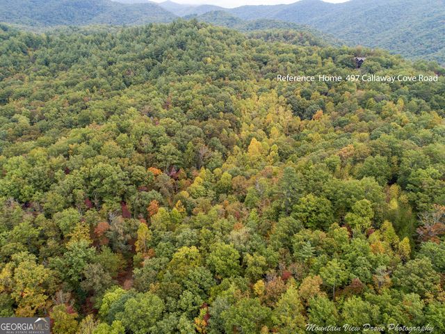0 Callaway Cove, Hiawassee, GA 30546