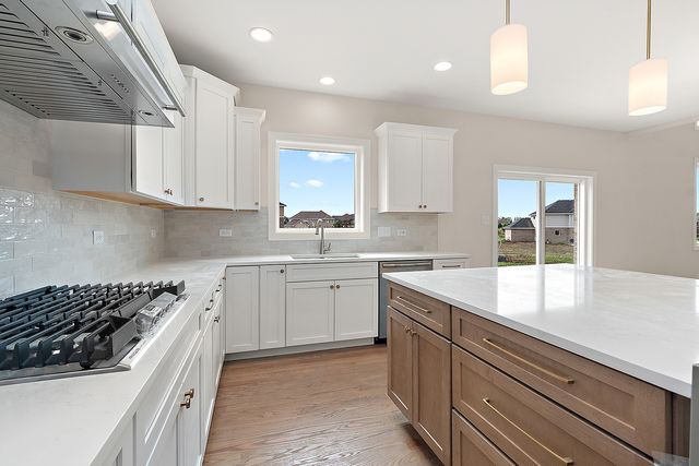 23054 Kelsey Marie Lane, Frankfort, IL 60423