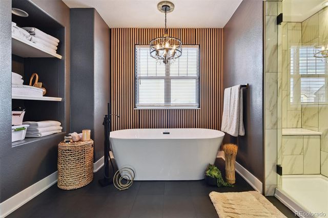 3444 Springmeadow Circle, Castle Rock, CO 80109