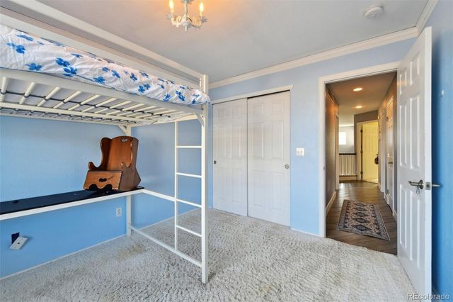 3444 Springmeadow Circle, Castle Rock, CO 80109