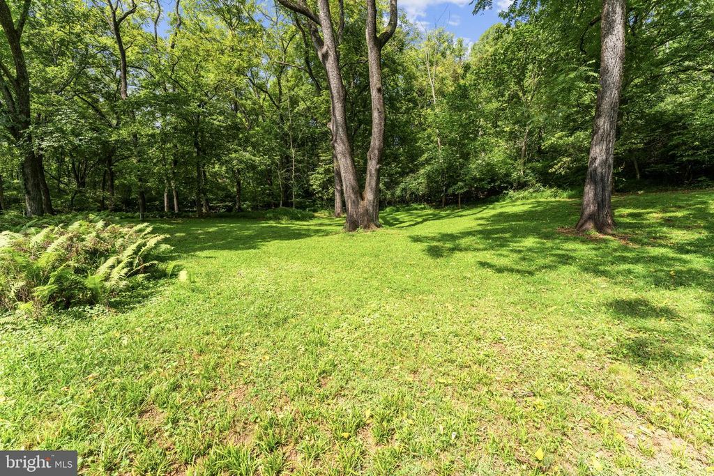 Image 98 of property listing at 39902 THOMAS MILL RD, Leesburg, VA 20175