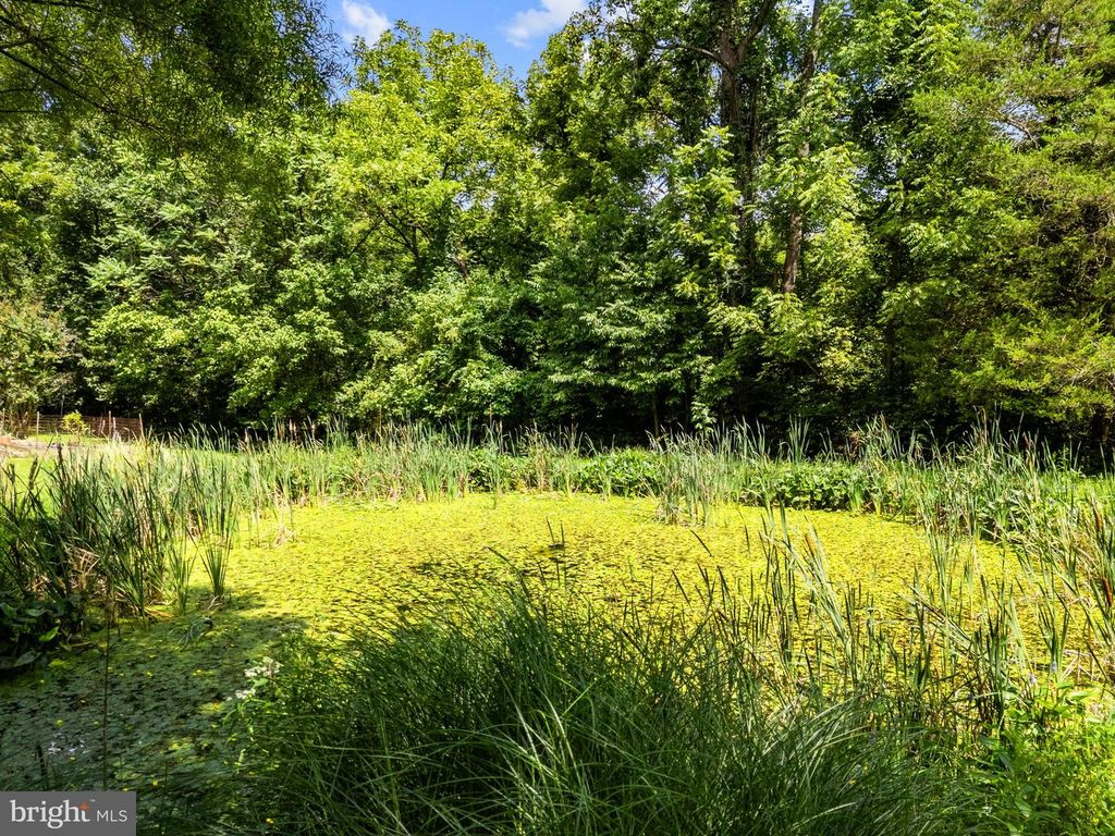 Image 106 of property listing at 39902 THOMAS MILL RD, Leesburg, VA 20175