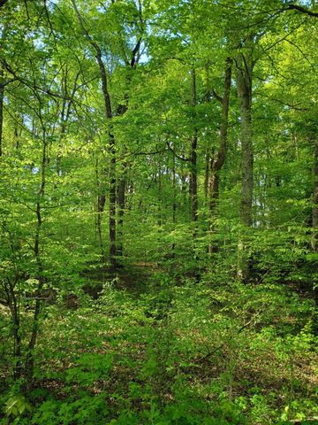 4.4 Acres County Road 219, Decatur, TN 37322