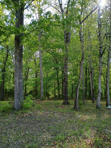 4.4 Acres County Road 219, Decatur, TN 37322