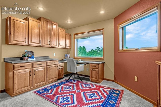 2845 Brogans Bluff Drive, Colorado Springs, CO 80919