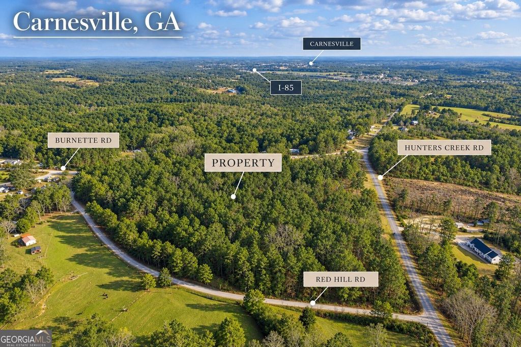 2122 Hunters Creek Road, Carnesville, GA 30521 — photo 2