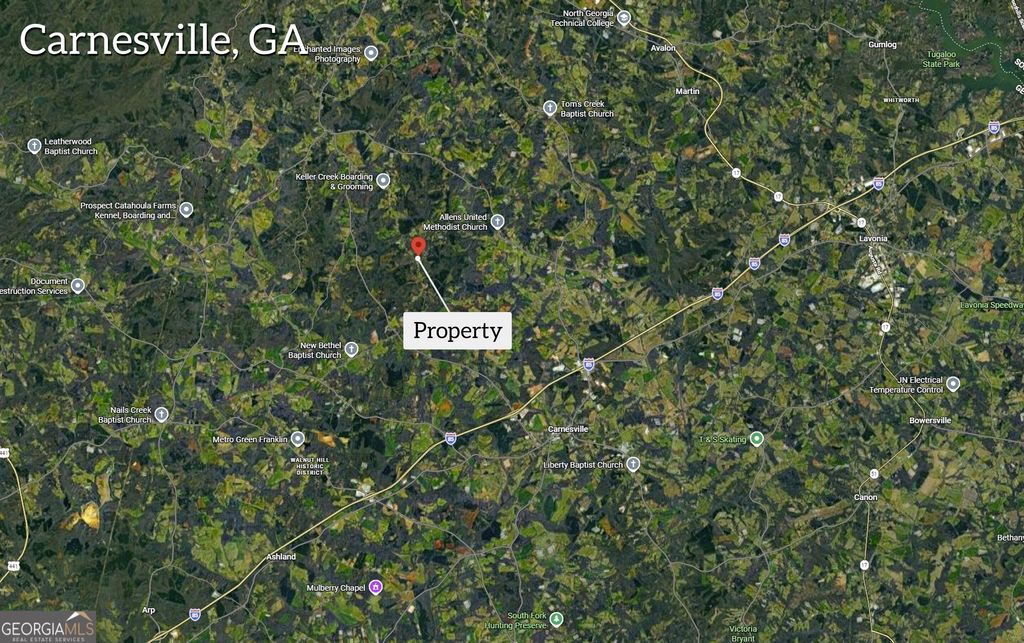 2122 Hunters Creek Road, Carnesville, GA 30521 — photo 3
